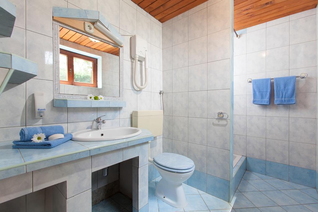 Daila Apartments Novigrad  Room photo